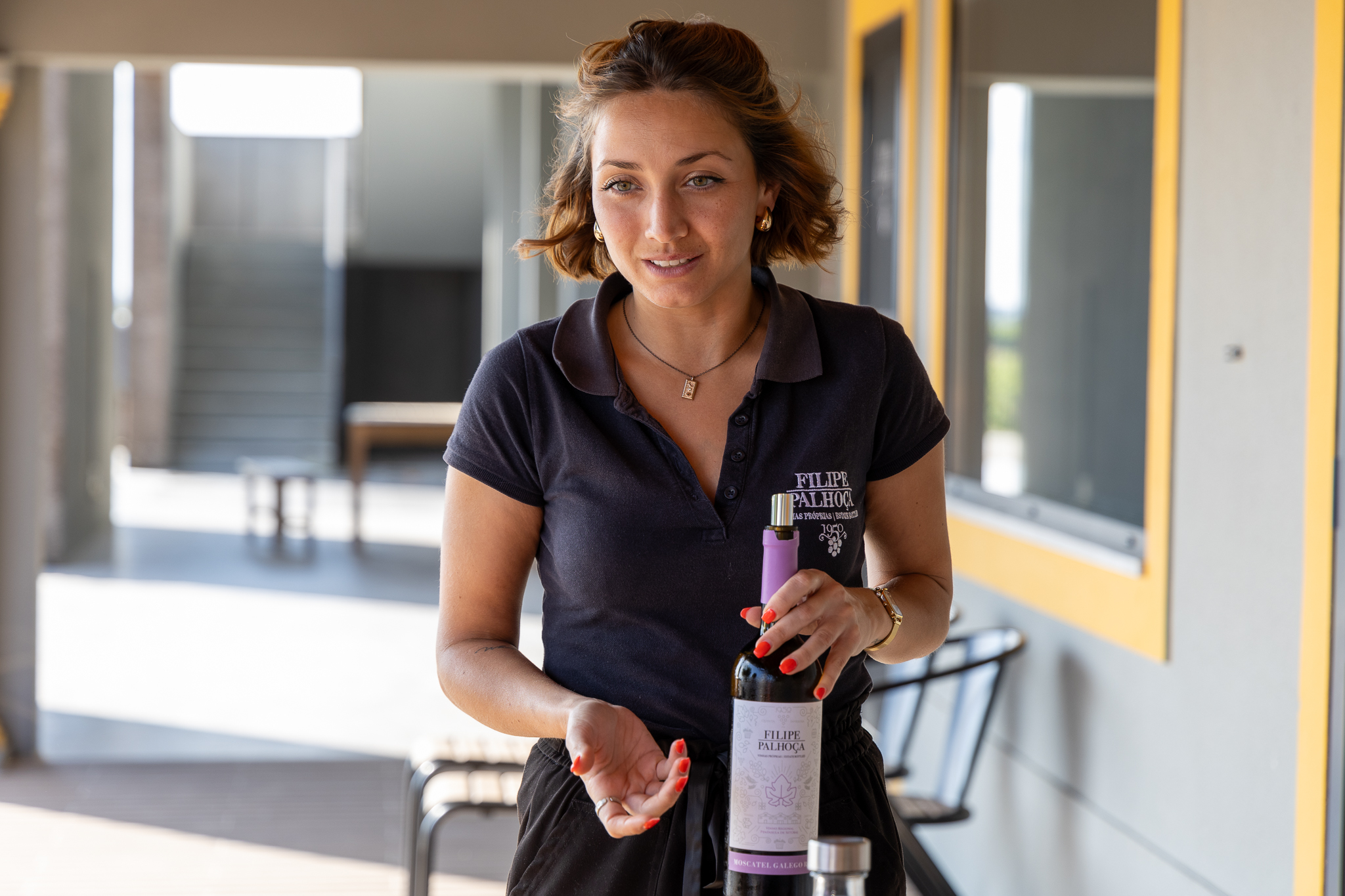Sommelier presenting wines during a private tasting experience in Setúbal, Portugal