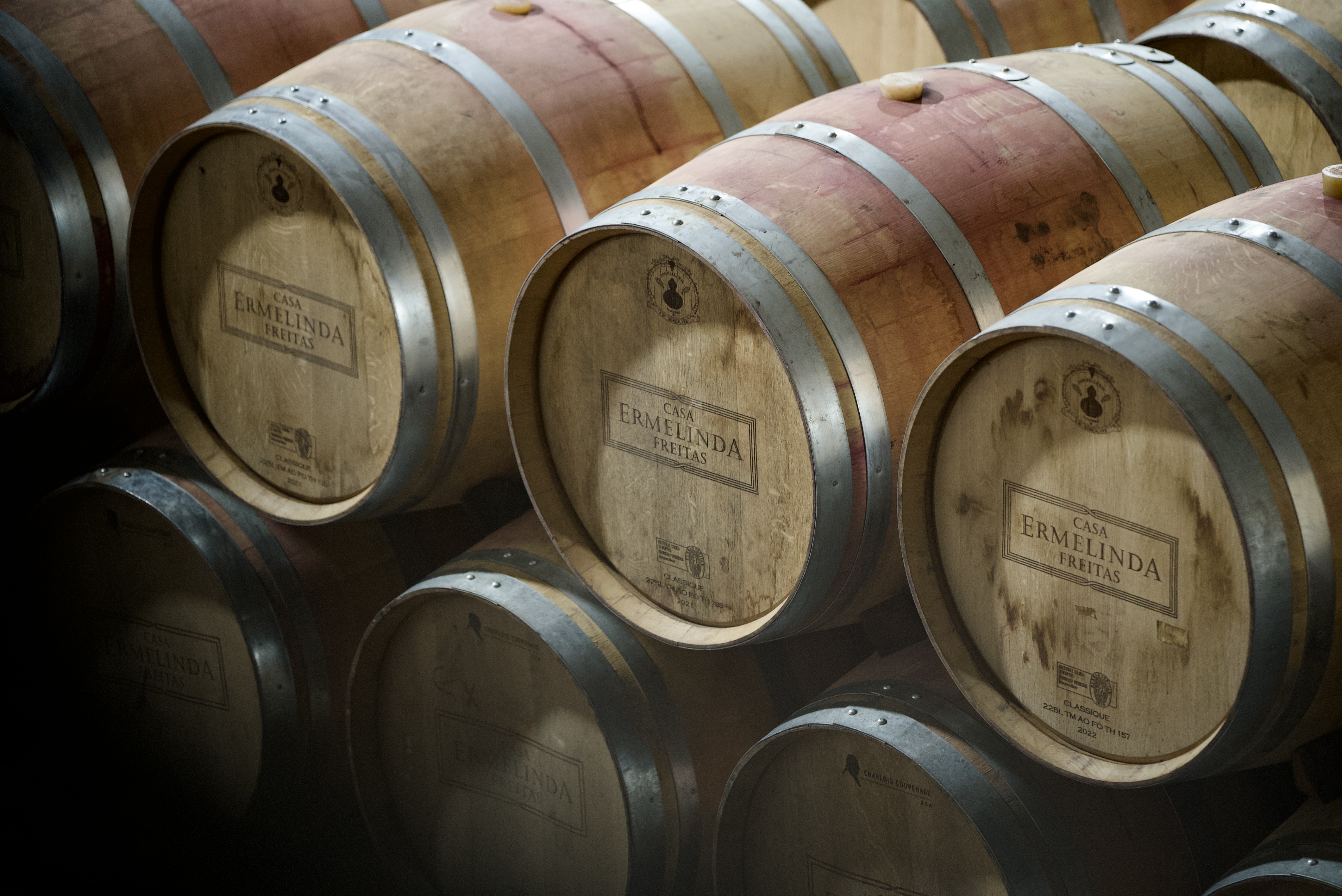 Historic wine barrels inside a winery cellar visited during a private Setúbal wine tour